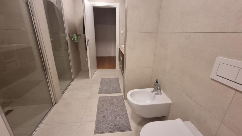 Koupelna moderního apartmánu v Chorvatsku se sprchovým koutem, WC a umyvadlem.