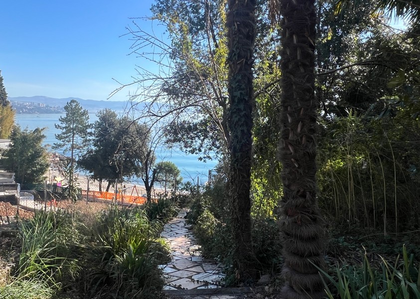 Schody vedou dolů k mořskému břehu.