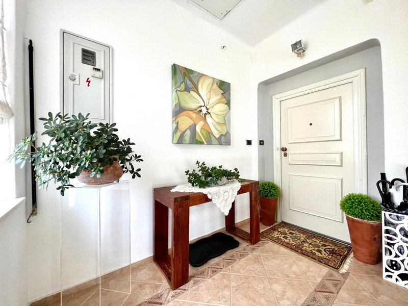 Vstupní prostor s rostlinami a dřevěnou konzolou, dekorativní malba na stěně