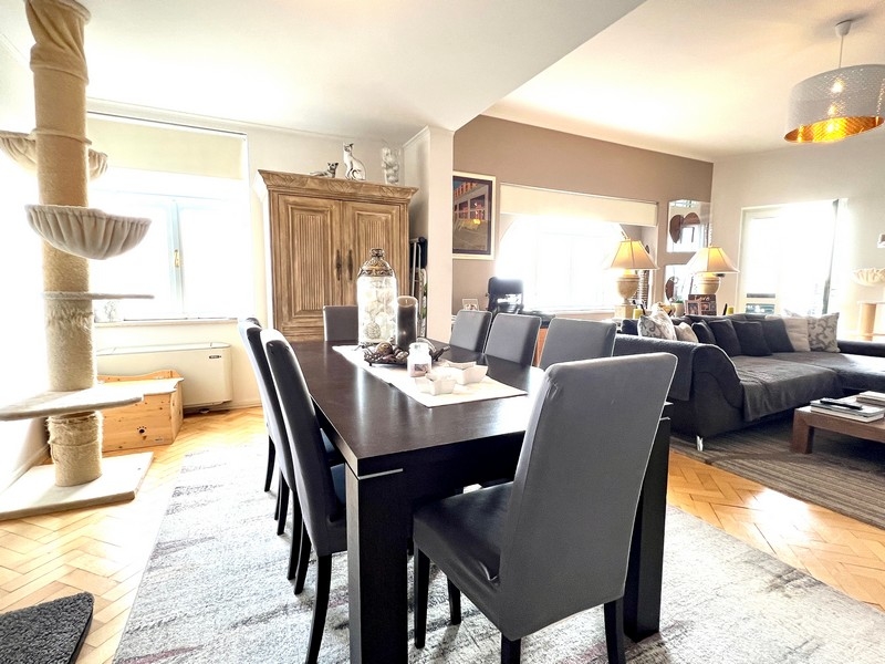 Pohled do obývacího pokoje s moderním uměním na zdi a škrabadlo pro kočky