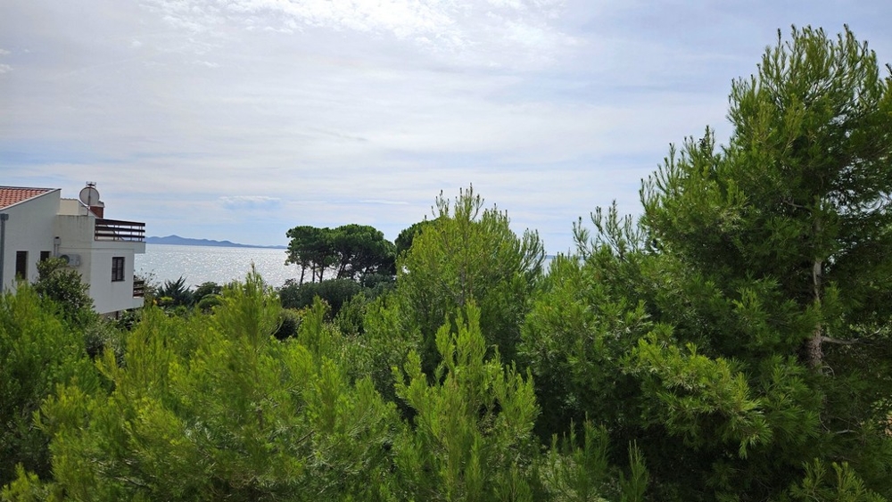 Pohled na moře za hustými zelenými stromy, s bílým domem a horizontem v pozadí.