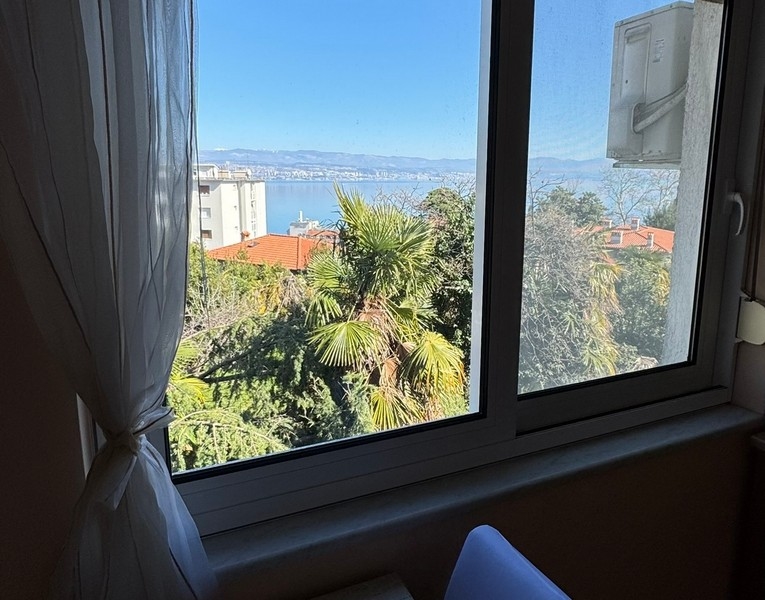 Pohled z okna s výhledem na moře a palmami v popředí