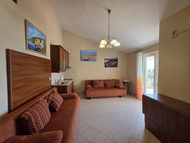 Obývací pokoj se dvěma pohovkami a kuchyňským koutem