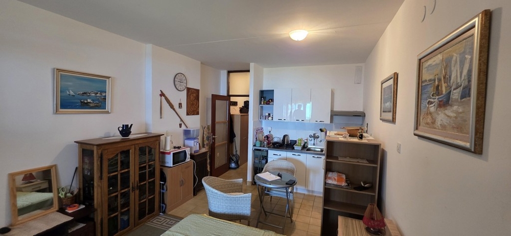 Obývací pokoj s kuchyňským koutem a nábytkem