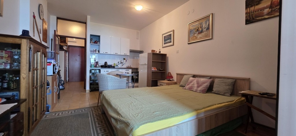 Studio s postelí, kuchyňským koutem a vstupem na chodbu