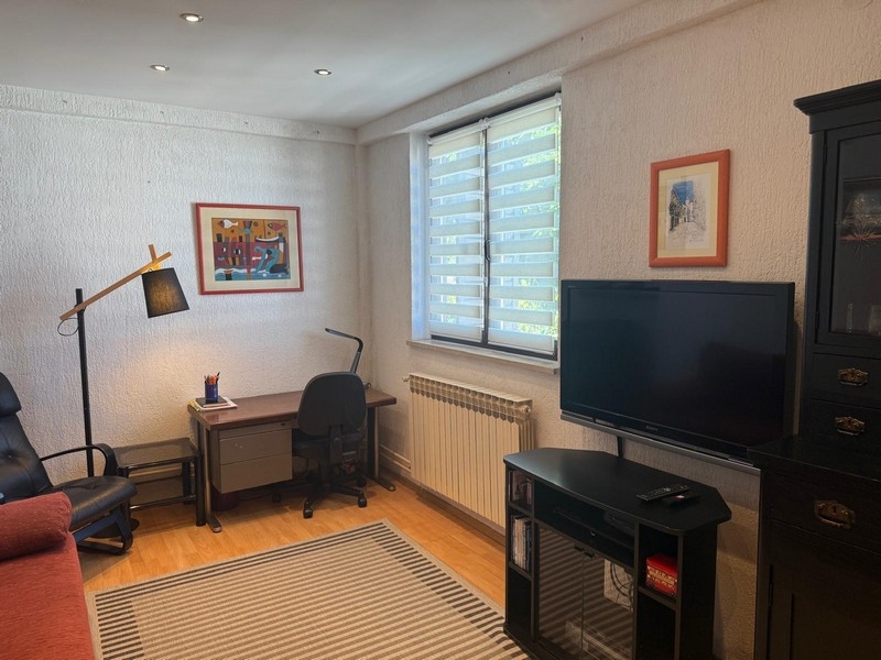 Studovna s psacím stolem a televizí