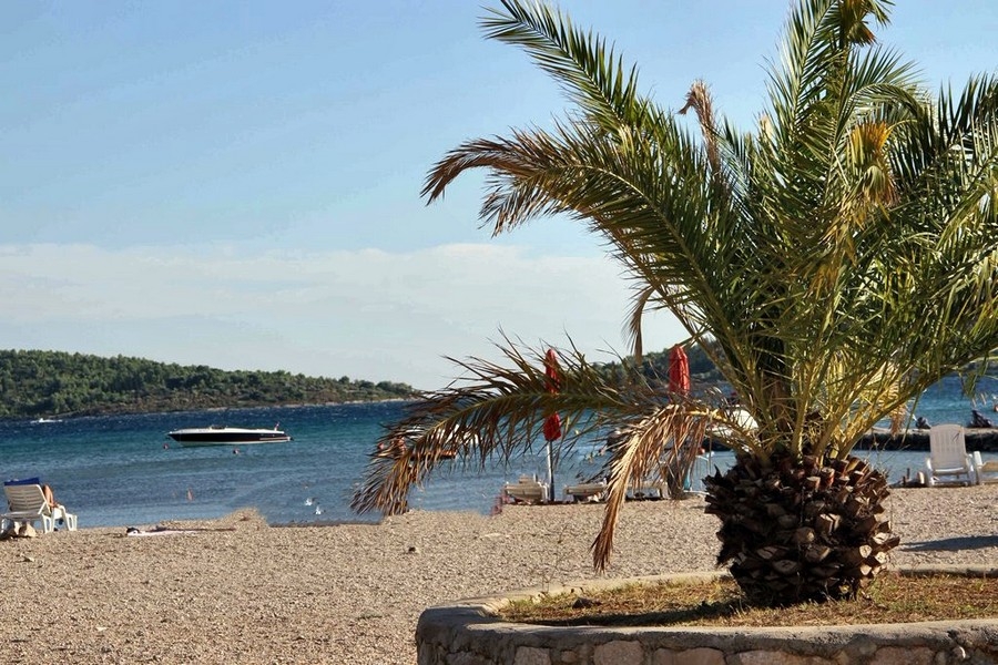 Oblázková pláž s palmami a výhledem na moře v Chorvatsku