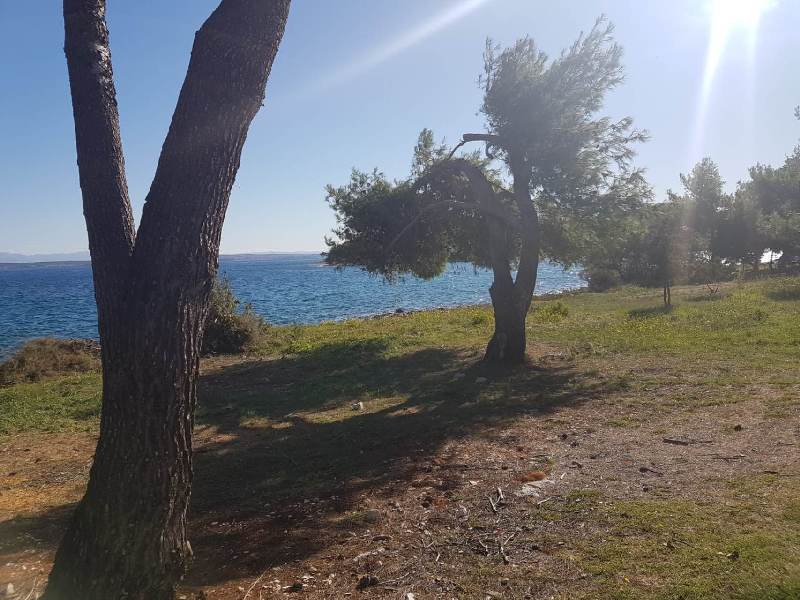 Nemovitosti u moře v Chorvatsku - Panorama Scouting Real Estate.