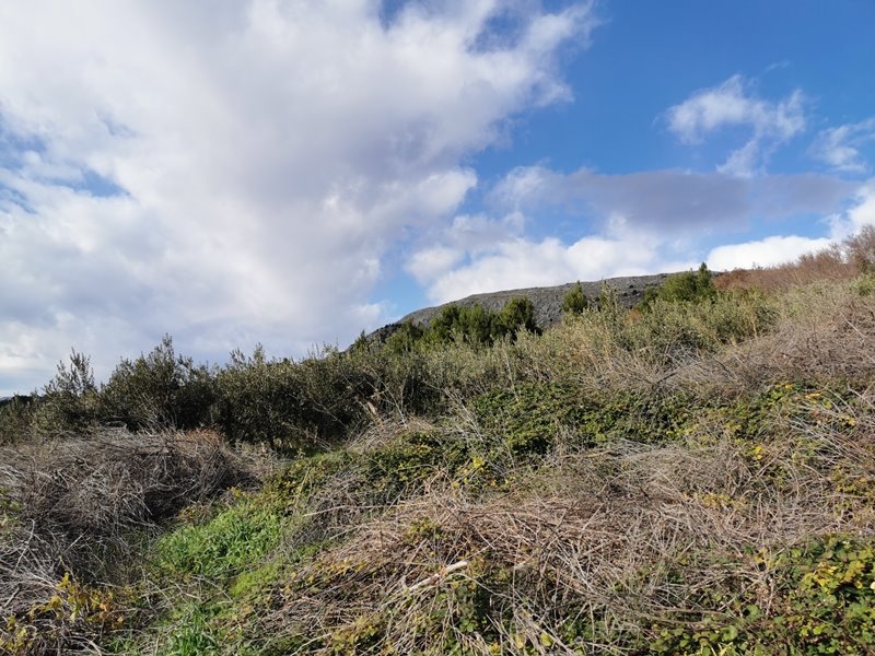 Prodej pozemku v Chorvatsku - G382.