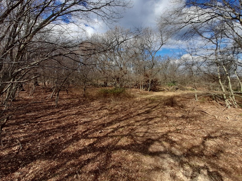 Prodám pozemek v Chorvatsku, Kvarnerský záliv, ostrov Krk - Panorama Scouting Immobilien G408, kupní cena: 480 000 EUR - Obrázek 4