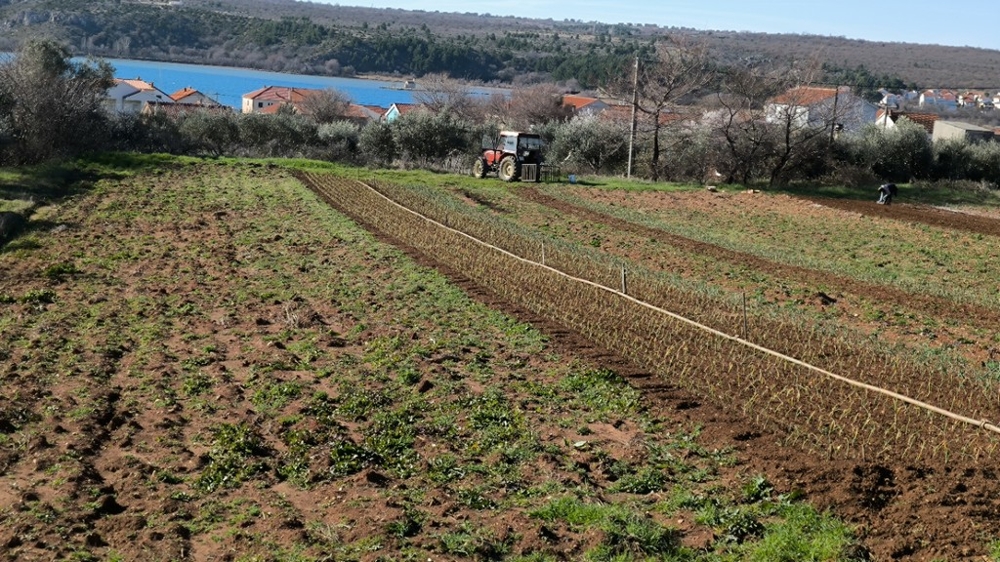 Výhled na moře nemovitosti G486 v Dalmácii.