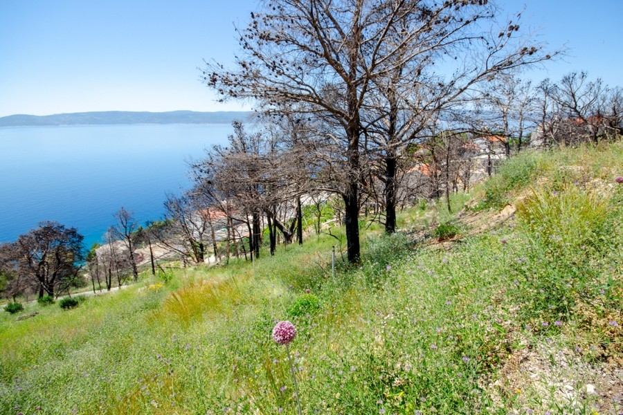 Stavební pozemek s panoramatickým výhledem na moře Chorvatsko