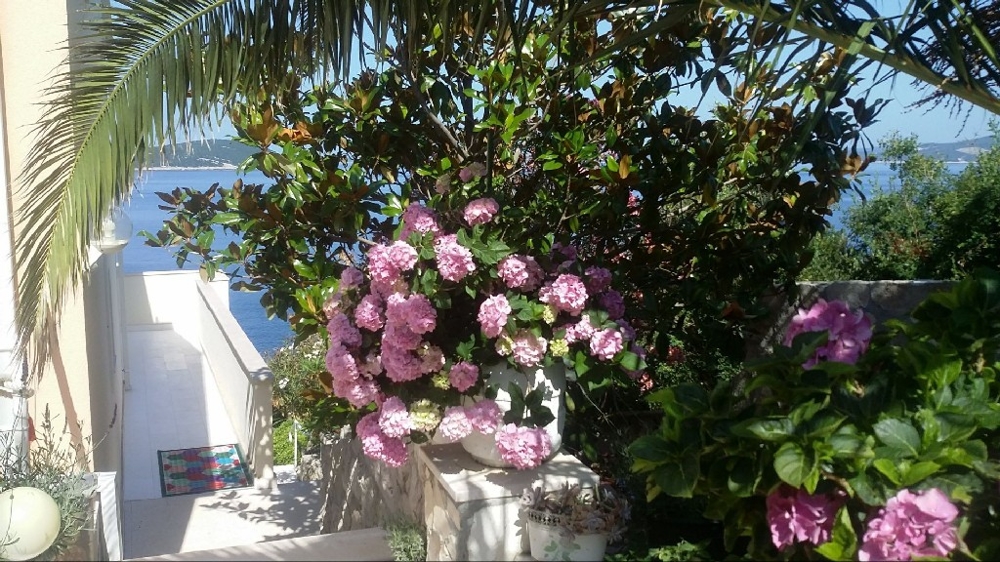 Výhled do středomořské zahrady a vstupní části nemovitosti - koupě vily v Chorvatsku.