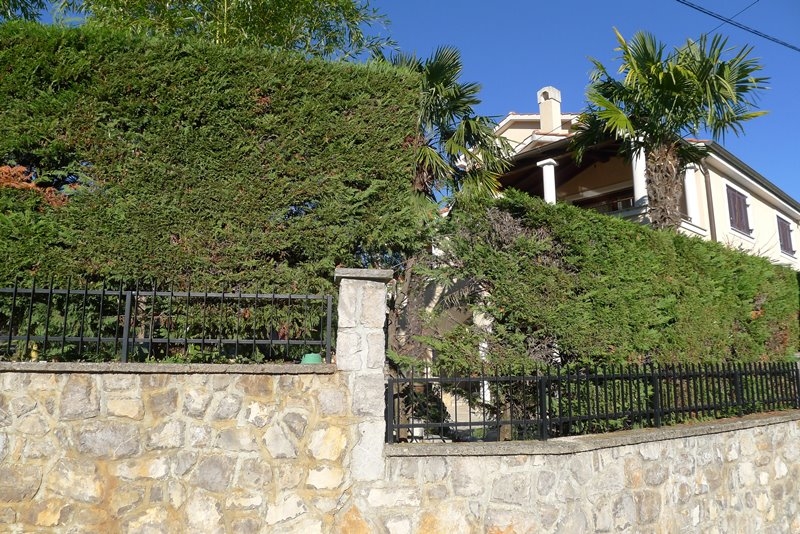 Středomořská vila obklopená zelenou zahradou s palmami a středomořskou vegetací.