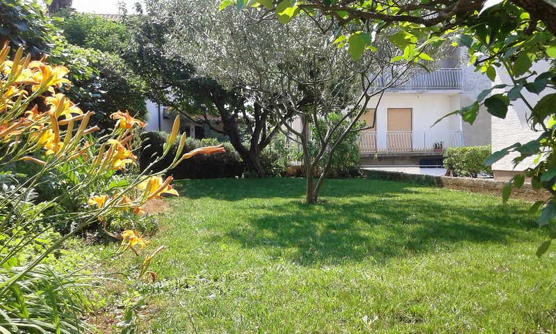 Zahrada nemovitosti H1816 u Zadaru v Chorvatsku - Panorama Scouting Real Estate.