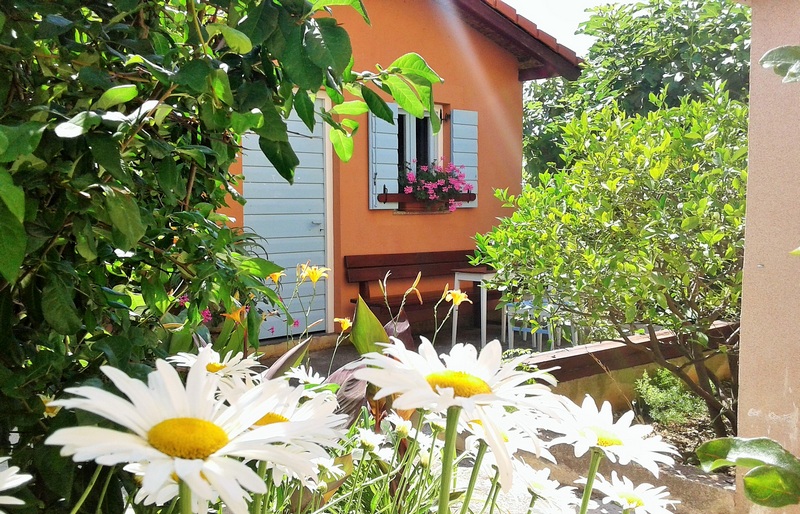 Dojmy ze středomořské zahrady nemovitosti H1816, Zadar, Chorvatsko.