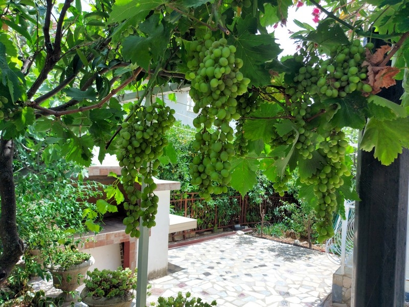 Grilování na zahradě domu