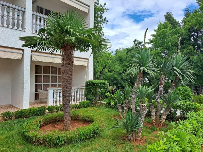 Krásně upravená zahrada s bazénem