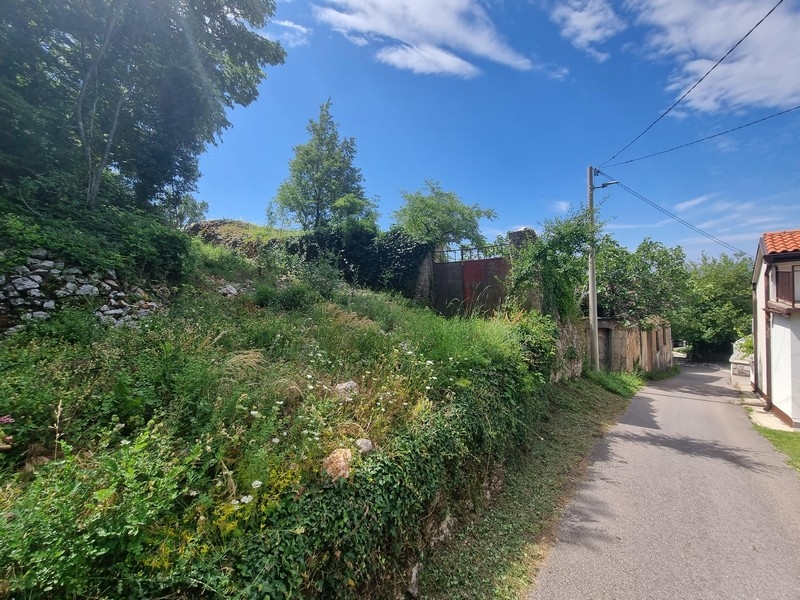 Pěkné klidné prostředí