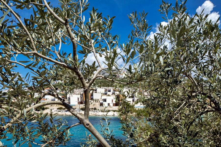 Panoramatický výhled na moře - Panorama Scouting - Prodám vilu Chorvatsko