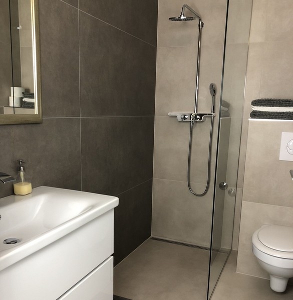 Moderní koupelna se skleněným sprchovým koutem a stylovými obklady v nemovitosti v Chorvatsku