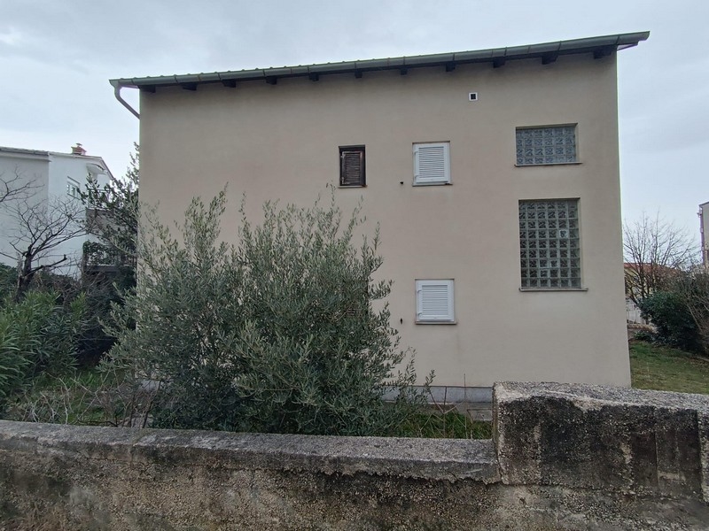 Zadní pohled na bytový dům na prodej v Crikvenici, Chorvatsko, s olivovníkem v popředí