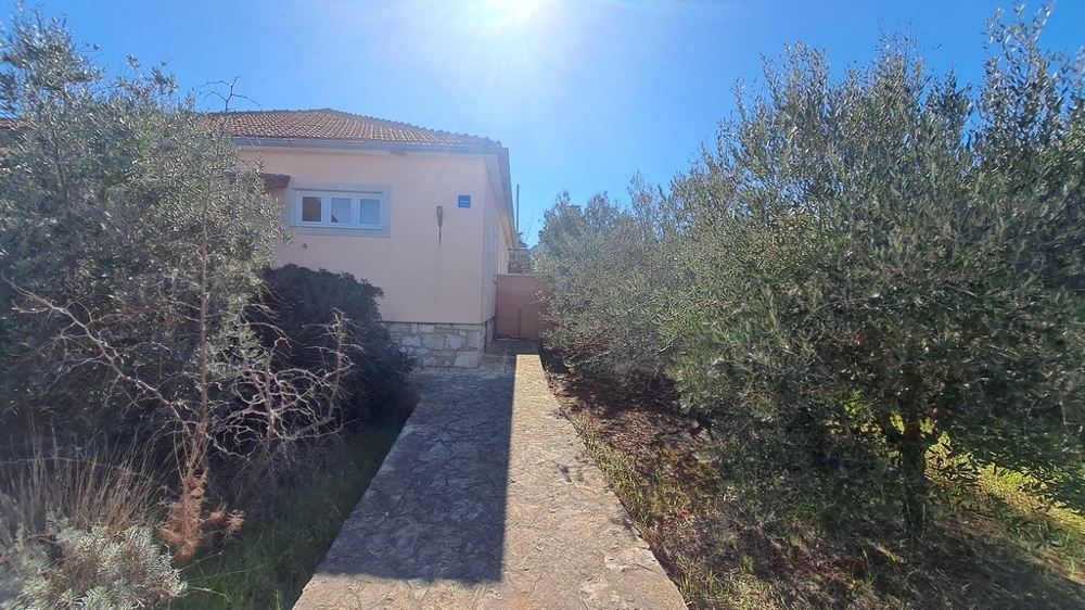 Cesta ke vchodu do domu s olivovníky na straně, přímořský pozemek v Chorvatsku