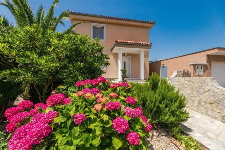 Pohled do zahrady činžovního domu v Chorvatsku s kvetoucími hortenziemi a středomořskými rostlinami