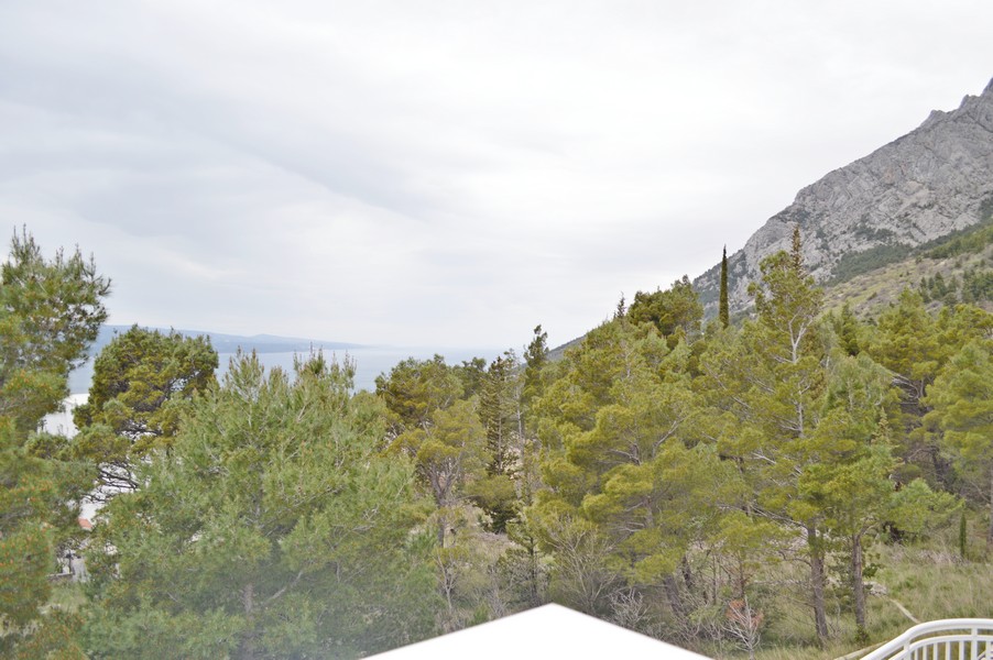 Výhled z terasy na hory, borový les a moře.