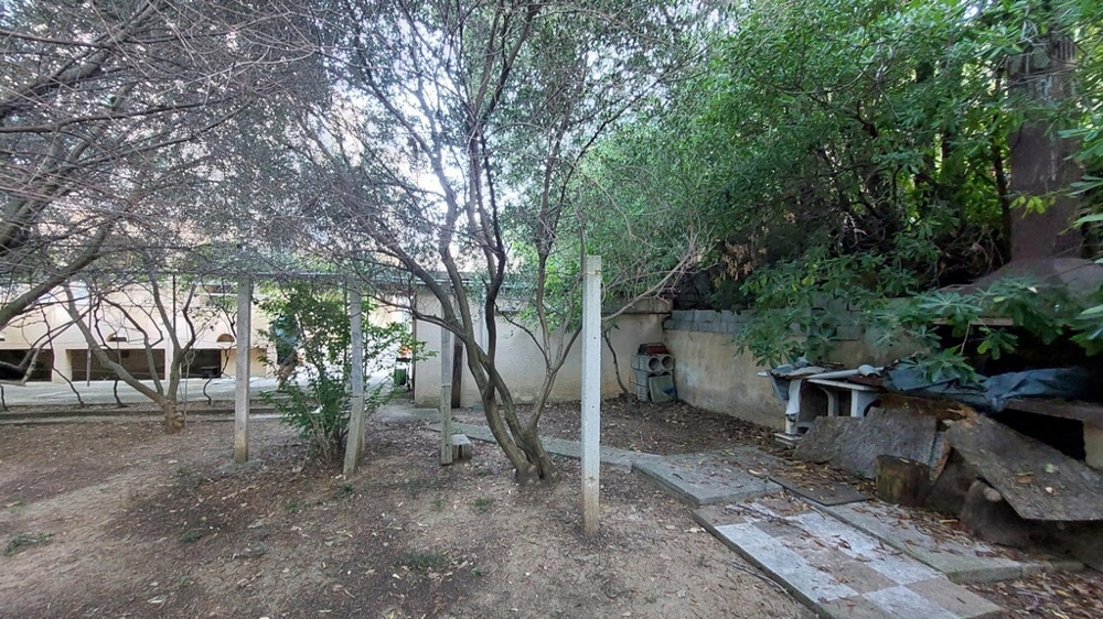 Zahrada se stromy a rostlinami v domě v Chorvatsku