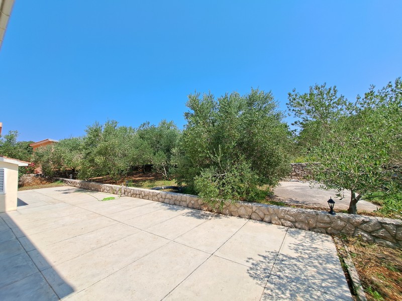 Terasa a výhled na olivovníky před domem.