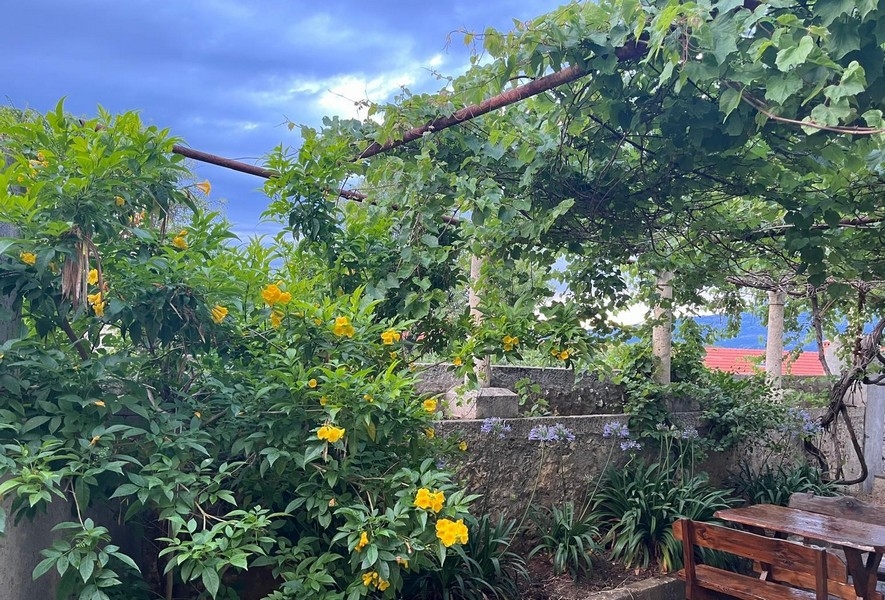 Krytá terasa s vinnou révou a zahradou