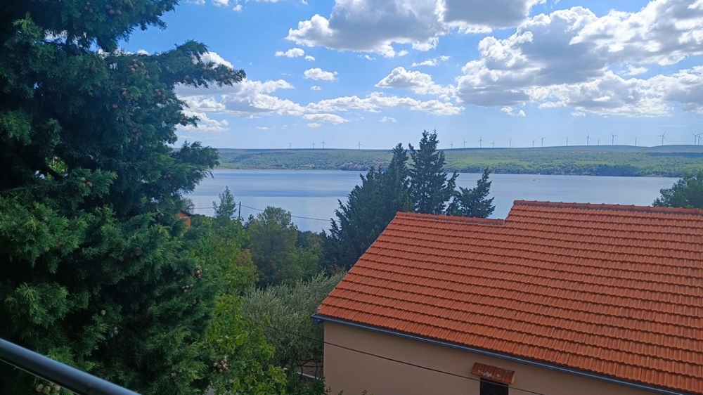 Pohled na moře za stromy