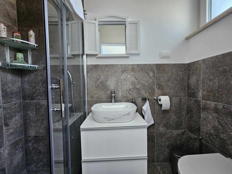 Koupelna se sprchovým koutem.