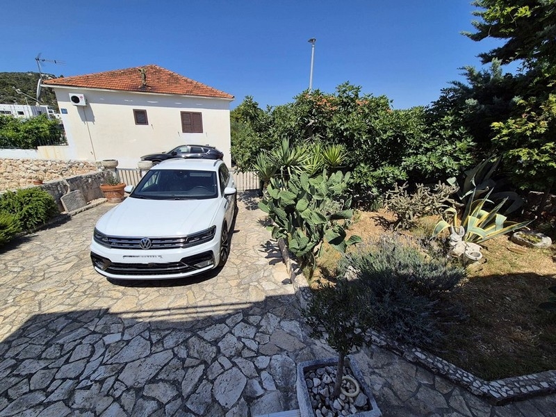 Zahrada s parkovacím místem a rostlinami