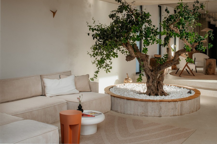 Obývací prostor s integrovaným stromem a světlým nábytkem