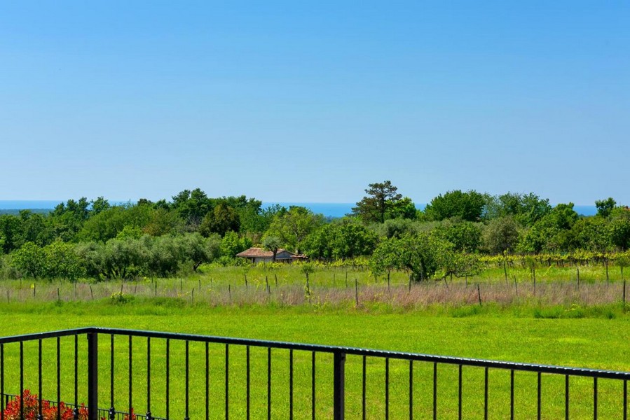 Pohled do zeleně s mořem v pozadí