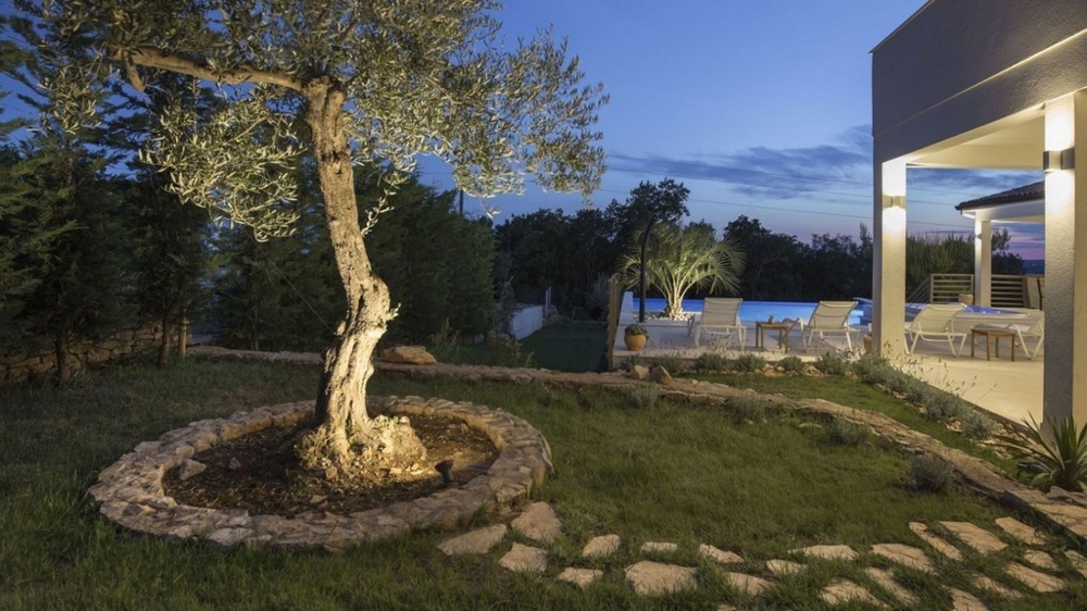 Zahrada s osvětleným olivovníkem a večerním výhledem na bazén