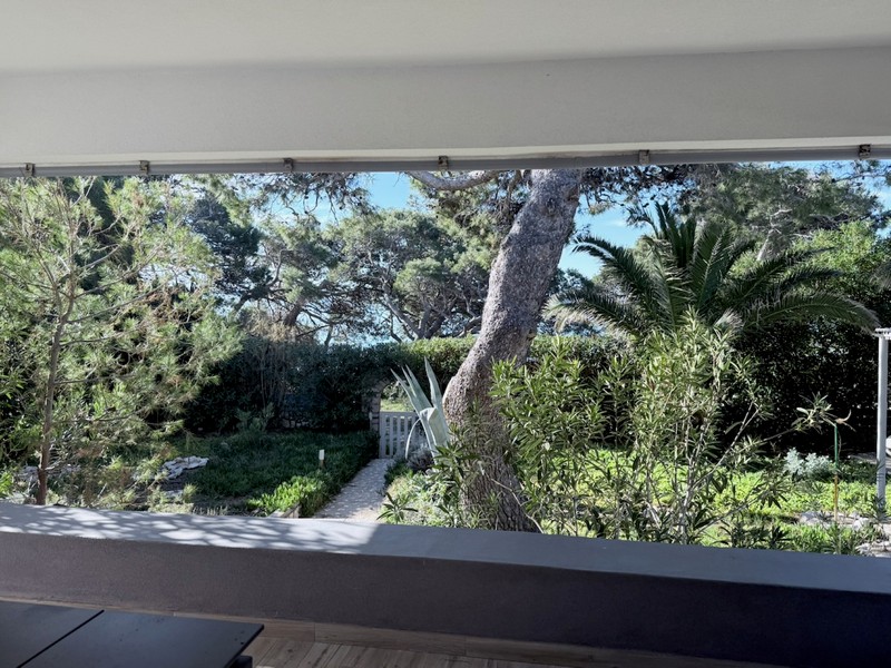 Výhled z balkonu do zelené zahrady se starými stromy a soukromí