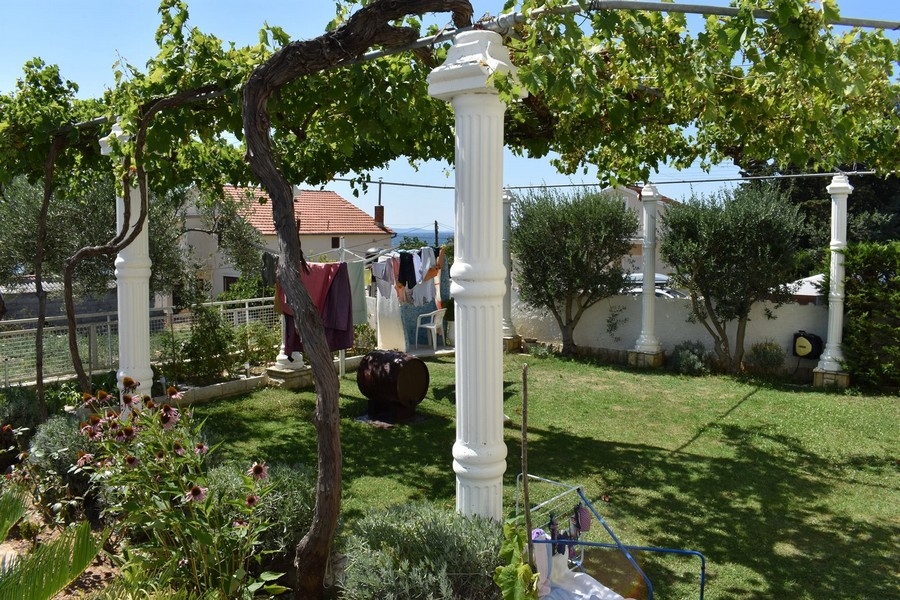 Pergola s vinnou révou v zahradě