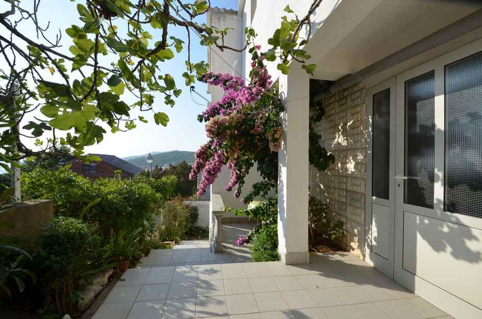 Venkovní plocha dvou DHH na prodej na Korčule v Chorvatsku